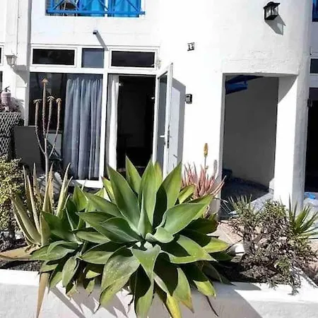 17 Blueshark Puerto del Carmen (Lanzarote)