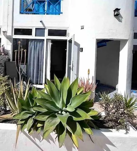 17 Blueshark Πουέρτο Ντελ Κάρμεν